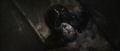 ghost rider fr-avi155.jpg